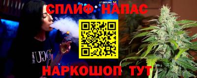 мяу мяу мука Кингисепп