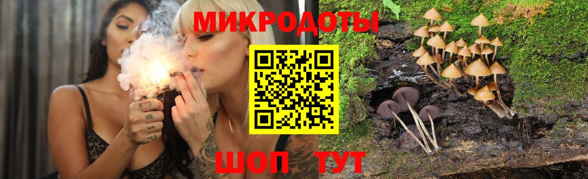 Псилоцибиновые грибы MAGIC MUSHROOMS Куйбышев