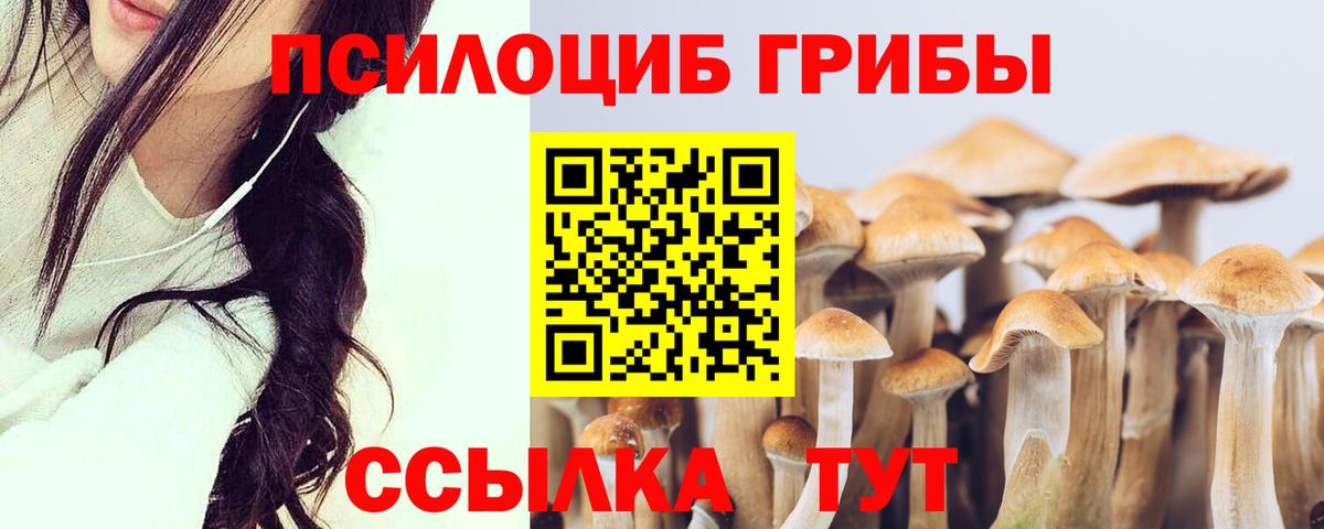 Псилоцибиновые грибы Magic Shrooms  Вход с VPN  Куйбышев 